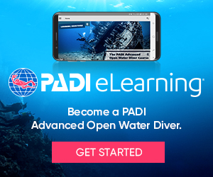 eLearning_AOW_divers_300x250