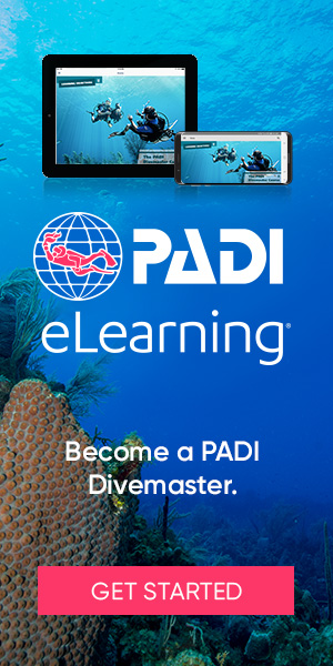 eLearning_DM_divers_bnrs300x600