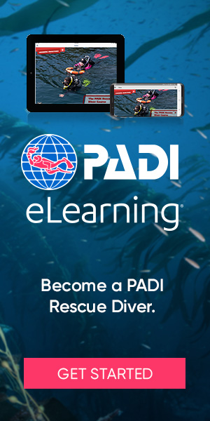 eLearning_Rescue_divers_bnrs300x600